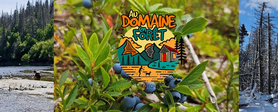 EXP&Eacute;RIENCES AUTHENTIQUES